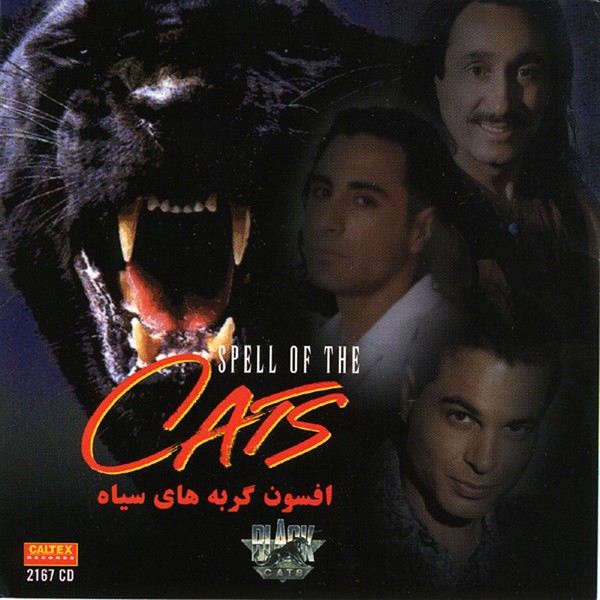 دانلود آلبوم Black Cats - Afsoone Gorbehaye Siah بلک کتس
